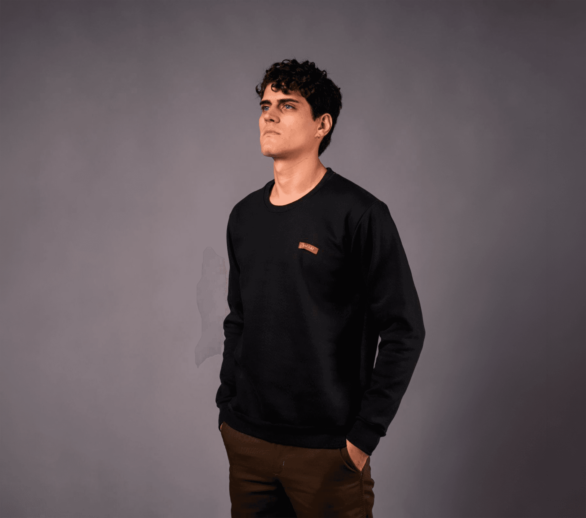 Buzo cuello redondo - Frisa Peinada PREMIUM 100% algodón — vista 2